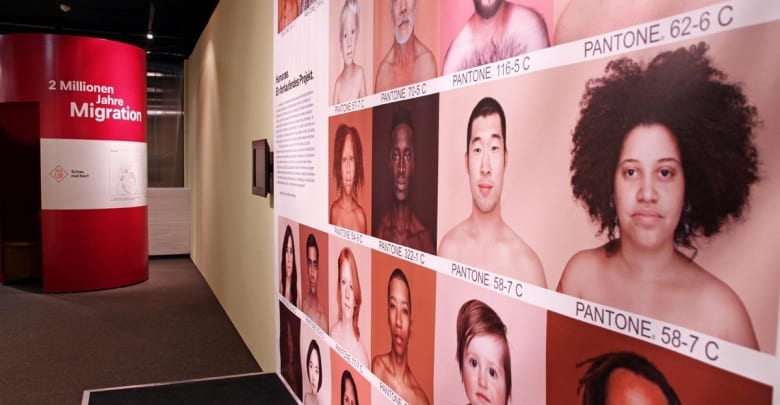 Endspurt der Ausstellung "ZWEI MILLIONEN JAHRE MIGRATION" 5 Endspurt der Ausstellung "ZWEI MILLIONEN JAHRE MIGRATION"