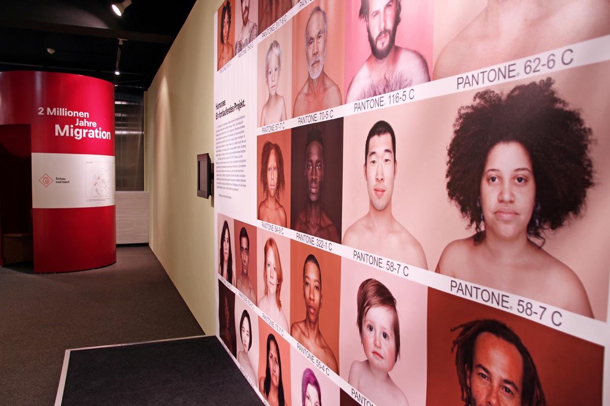 Endspurt der Ausstellung "ZWEI MILLIONEN JAHRE MIGRATION"