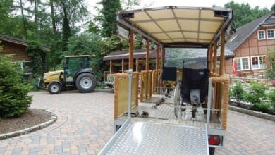 Barrierefrei mit der Wildpark-Bahn