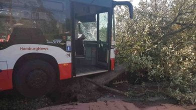 Busfahrer der Linie 250 verlor die Kontrolle und fuhr gegen einen Baum