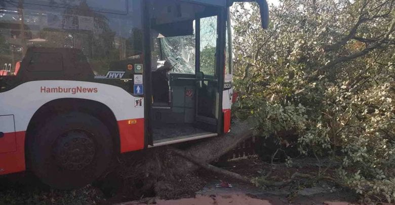Busfahrer der Linie 250 verlor die Kontrolle und fuhr gegen einen Baum 4 Busfahrer der Linie 250 verlor die Kontrolle und fuhr gegen einen Baum