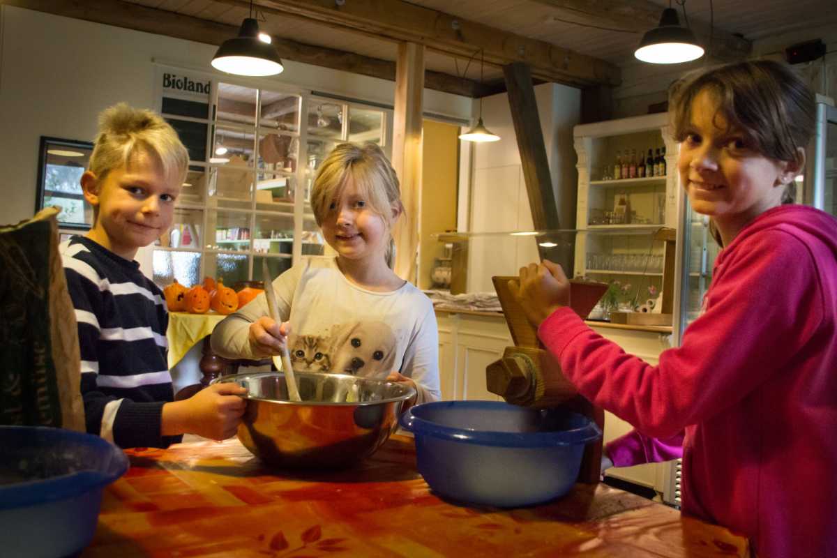 Ferien-Erlebnis-Tage im Herbst auf dem Museumsbauernhof Wennerstorf