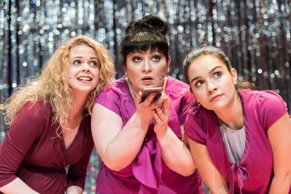 Der bewegte Mann - Das Musical
