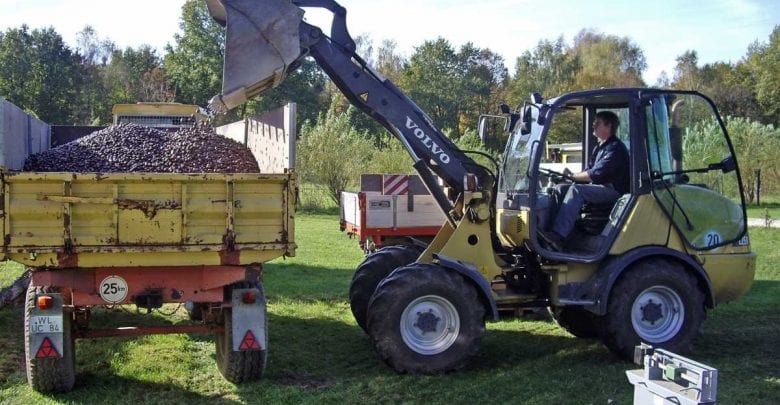 Eicheln- und Kastanienannahme im Wildpark Schwarze Berge