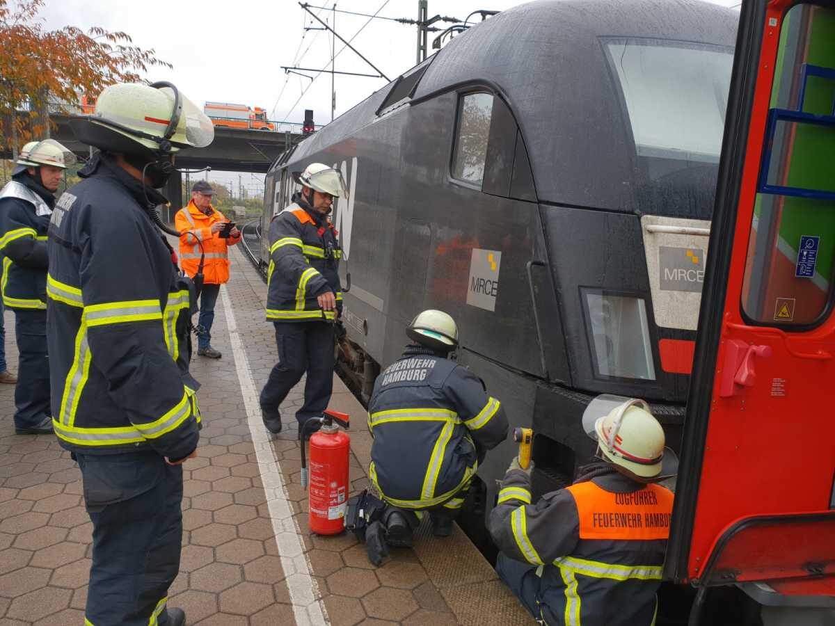 Regionalbahn musste Nothalt im Harburger Bahnhof einlegen
