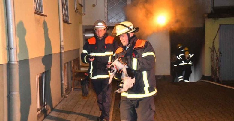 Feuerwehr rettet Katze aus brennendem Atelier