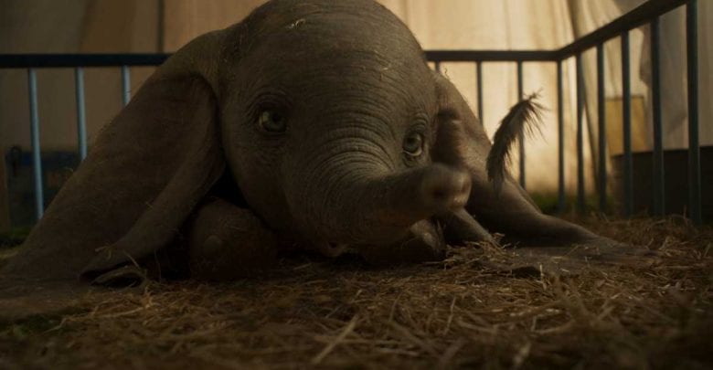 Neuverfilmung von Dumbo kommt in die Kinos