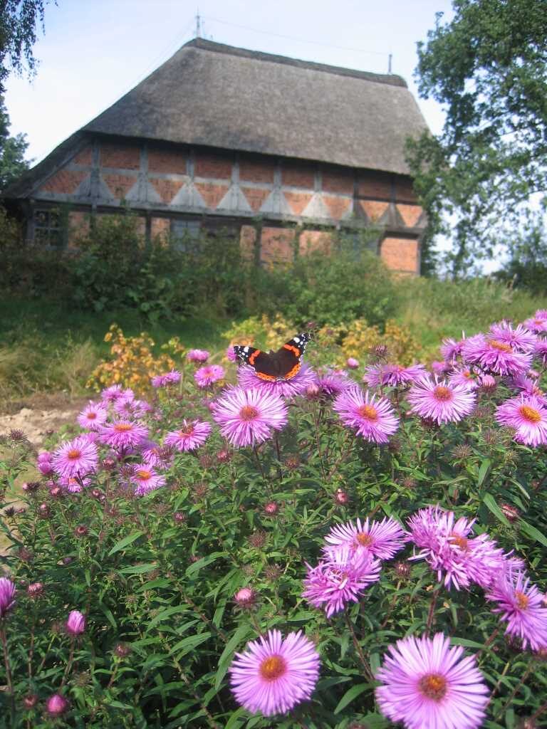 Neue Sonderausstellung „Krabbelnde Komplizen – Insekten in der Landwirtschaft“