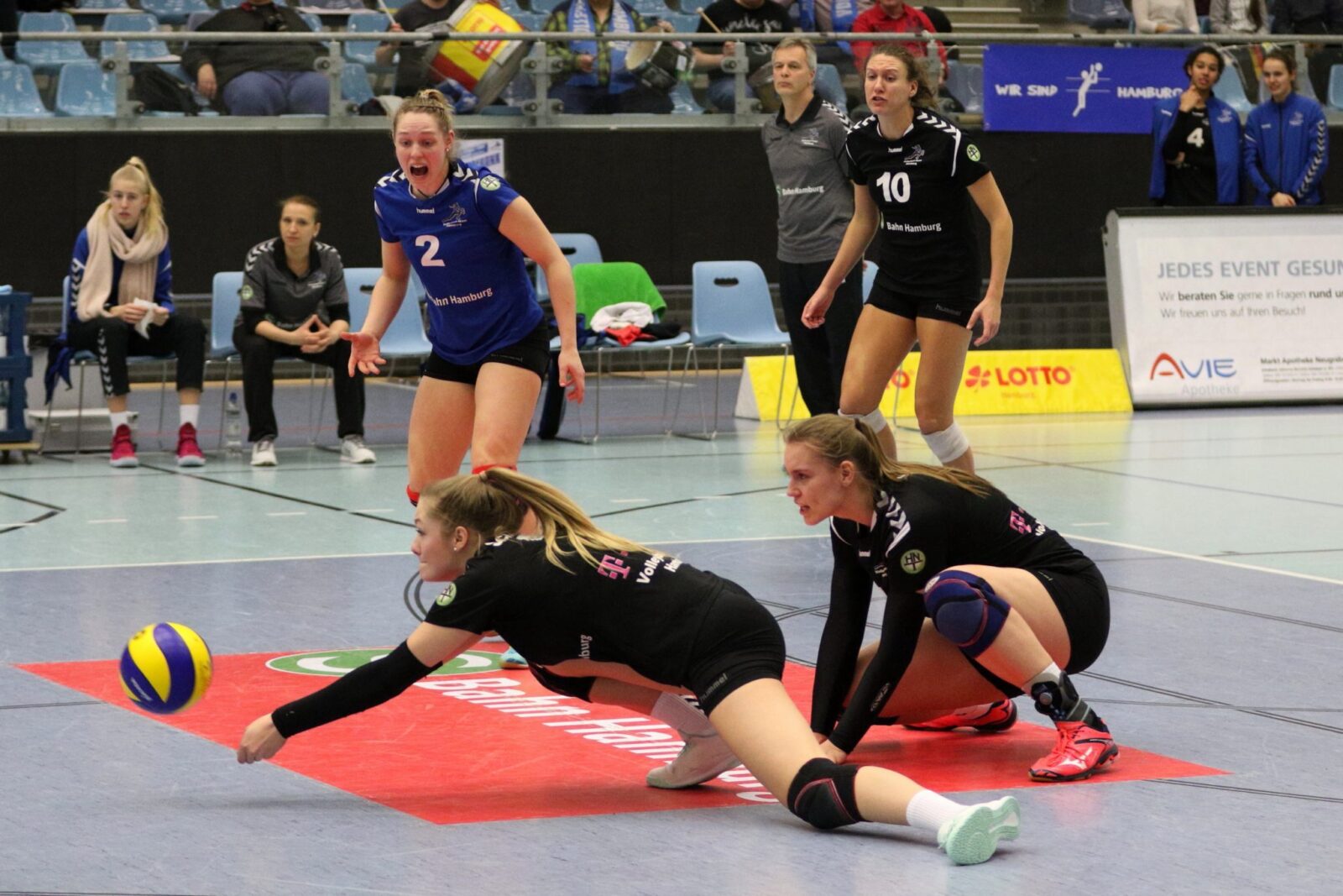 Volleyball-Team Hamburg holt Pflichtsieg gegen VC Olympia Schwerin