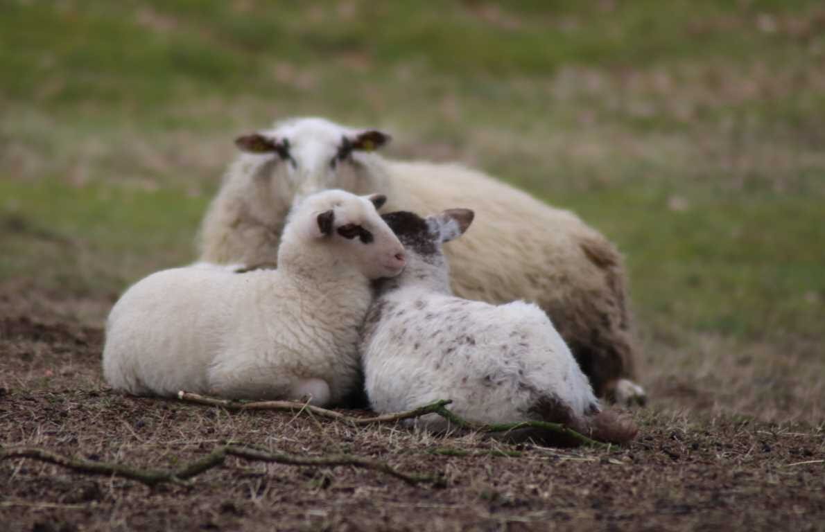 Himmlisches Ostervergnügen für die ganze Familie