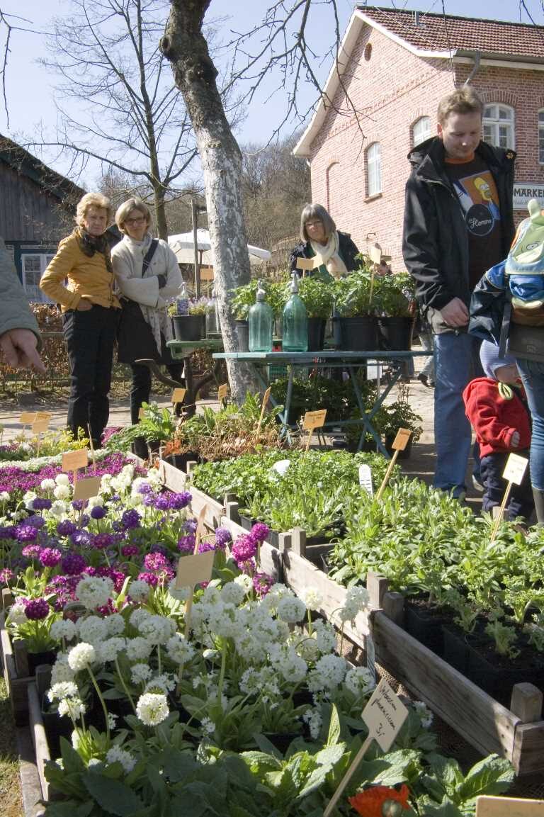 Norddeutschlands größter Pflanzenmarkt lockt Gartenfreunde an den Kiekeberg