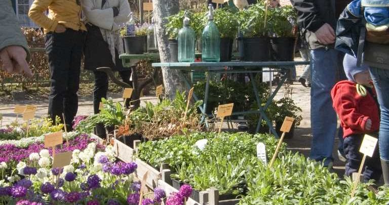 Norddeutschlands größter Pflanzenmarkt lockt Gartenfreunde an den Kiekeberg