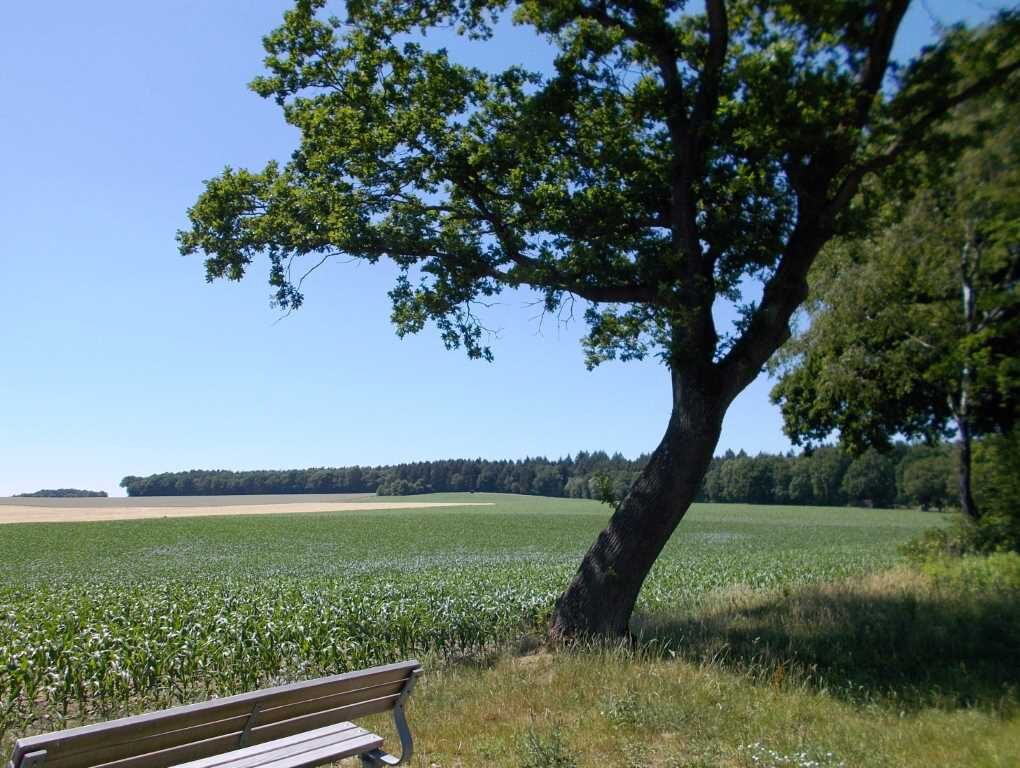Öffentlichkeitsbeiligung für Neuausweisung der beiden Landschaftsschutzgebiete „Rosengarten – Kiekeberg – Stuvenwald“ und „Tötenser Sunder“