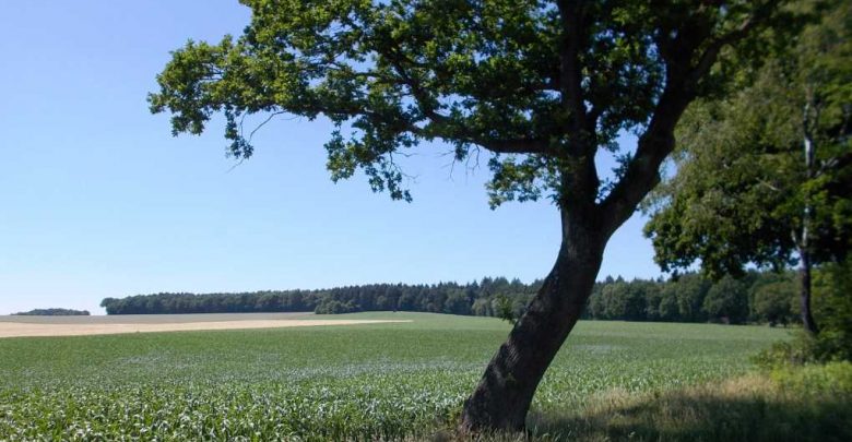 Öffentlichkeitsbeiligung für Neuausweisung der beiden Landschaftsschutzgebiete „Rosengarten – Kiekeberg – Stuvenwald“ und „Tötenser Sunder“
