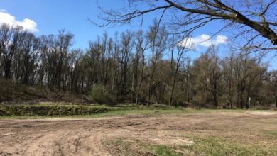 a dirt road with trees in the background