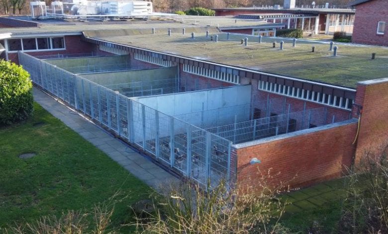 LPT beendet Tierversuche in Mienenbüttel