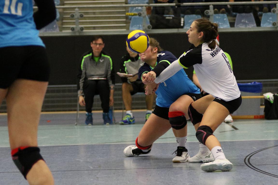 Volleyball-Team Hamburg hat den USV Potsdam zu Gast