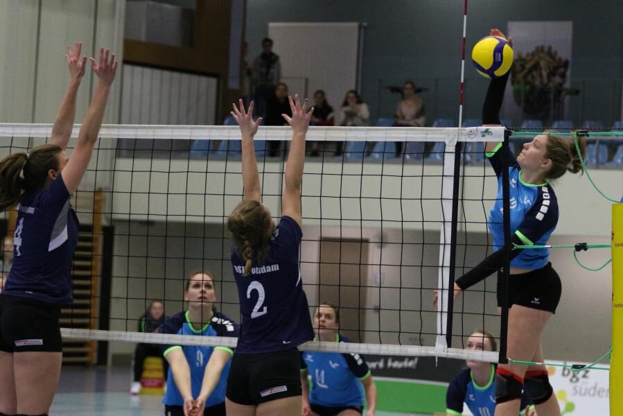 Volleyball-Team Hamburg feiert ersten Saisonsieg