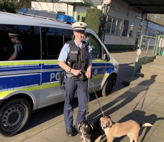 Fellnasen-Alarm auf Betriebshof der Bahn 3 Fellnasen-Alarm auf Betriebshof der Bahn