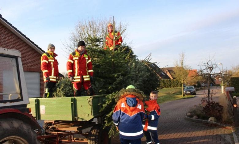 Jugendfeuerwehren sammelten wieder die ausgedienten Weihnachtsbäume ein