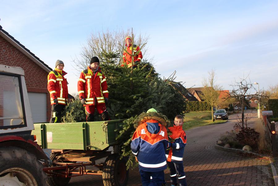 Jugendfeuerwehren sammelten wieder die ausgedienten Weihnachtsbäume ein