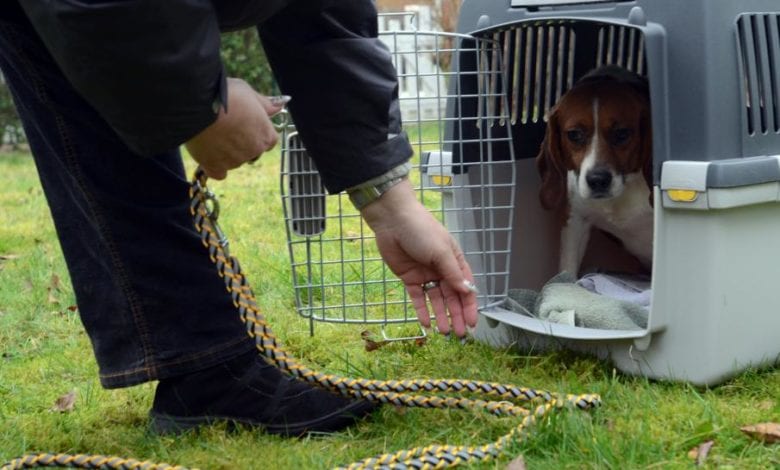 Keine Tiere mehr in den Laboren des LPT-Mienenbüttel