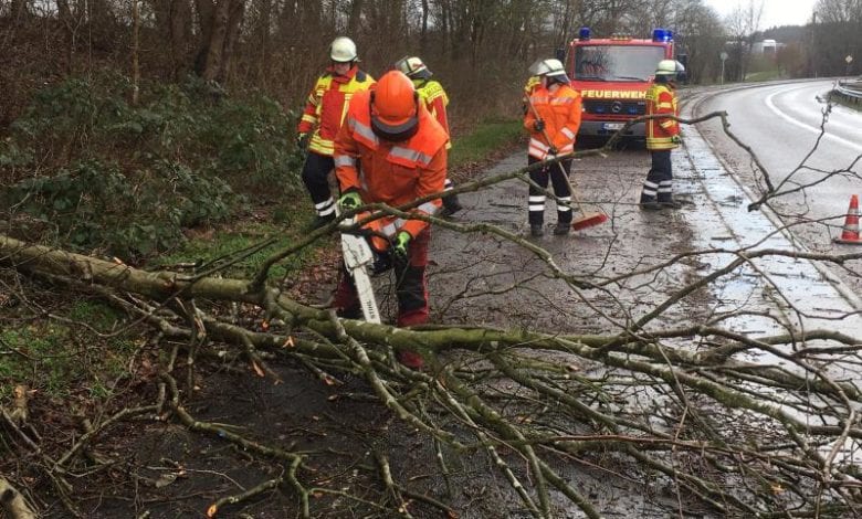 Weitere Sturmeinsätze forderten die Feuerwehren des Landkreises Harburg