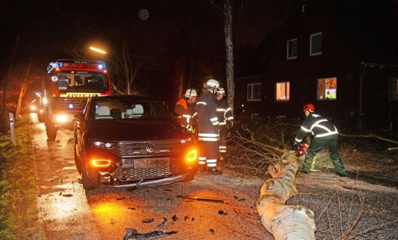 Keine Verletzten bei Zusammenstoß mit Baum 5 Keine Verletzten bei Zusammenstoß mit Baum