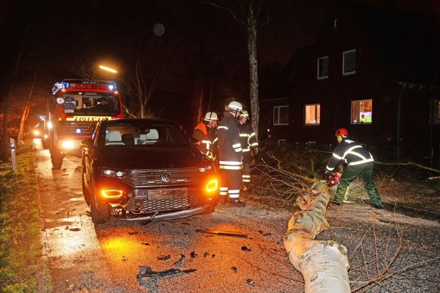 Keine Verletzten bei Zusammenstoß mit Baum