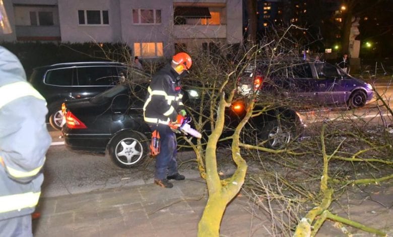 Erste Ausläufer in Hamburg - Baum stürzt auf Fahrzeug 6 Erste Ausläufer in Hamburg - Baum stürzt auf Fahrzeug