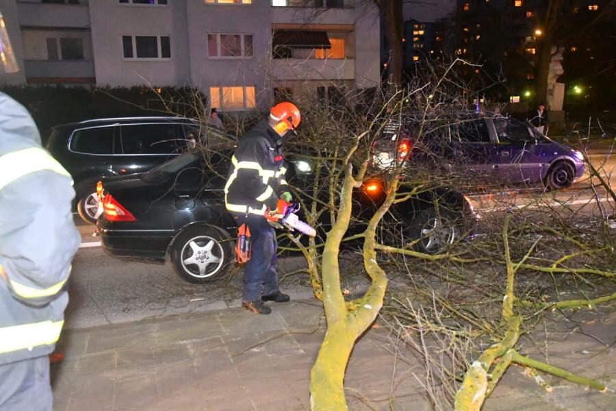 Erste Ausläufer in Hamburg - Baum stürzt auf Fahrzeug