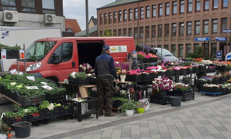 Blütenalarm auf dem Wochenmarkt Neugraben