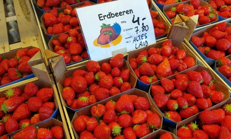Altländer Erdbeeren suchen süße Partnerschaft