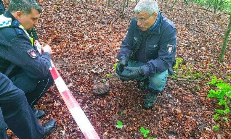 Spaziergänger findet Bombenreste im Wald