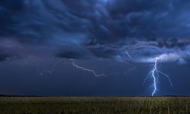 Hamburg erwartet eine tropische Woche 3 Hamburg erwartet eine tropische Woche