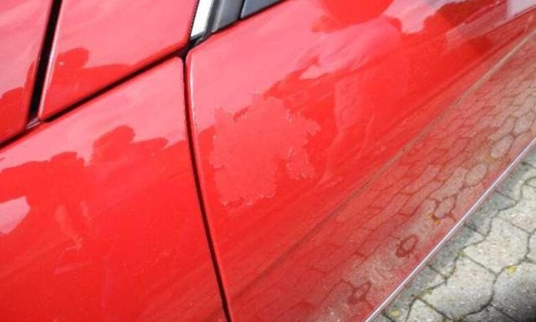 Lackschaden am PKW nach Eierwurf