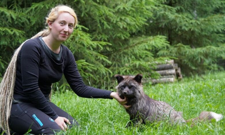 Schlauer Fuchs mit großem Herz im Wildpark Schwarze Berge