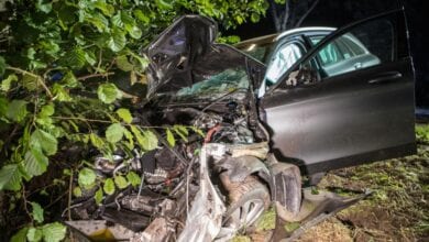Fahrt mit geliehenem Mercedes endet am Baum