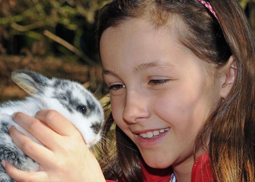 Tierische Herbstferien im Wildpark Schwarze Berge