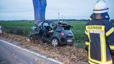 Fahrer eines Kleinfahrzeugs tödlich verunglückt