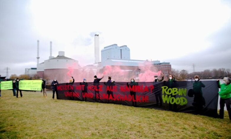 Klimaschädlich und unfair: Heizen in Hamburg mit Holz aus Namibia