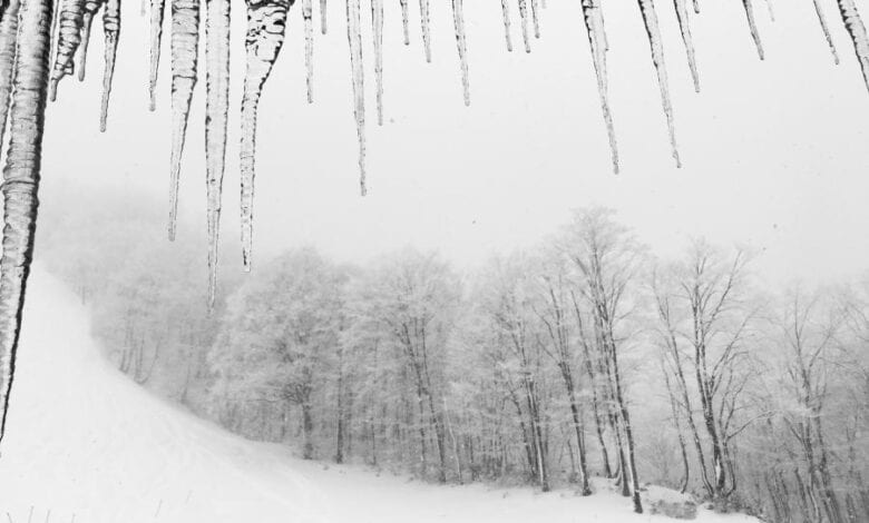 Am Wochenende droht Schnee-Chaos im Norden 12 Am Wochenende droht Schnee-Chaos im Norden