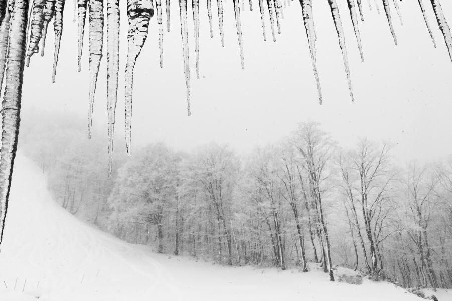 Am Wochenende droht Schnee-Chaos im Norden