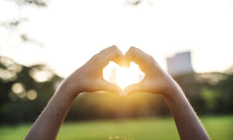 21 Grad - Wärmster je gemessener Wintertag 11 21 Grad - Wärmster je gemessener Wintertag