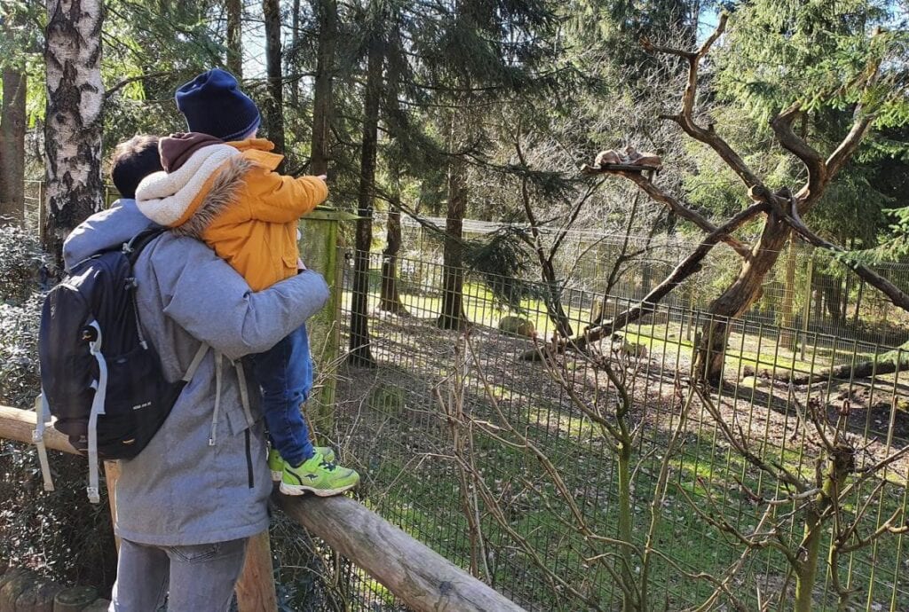 Wildpark Schwarze Berge ist wieder geöffnet