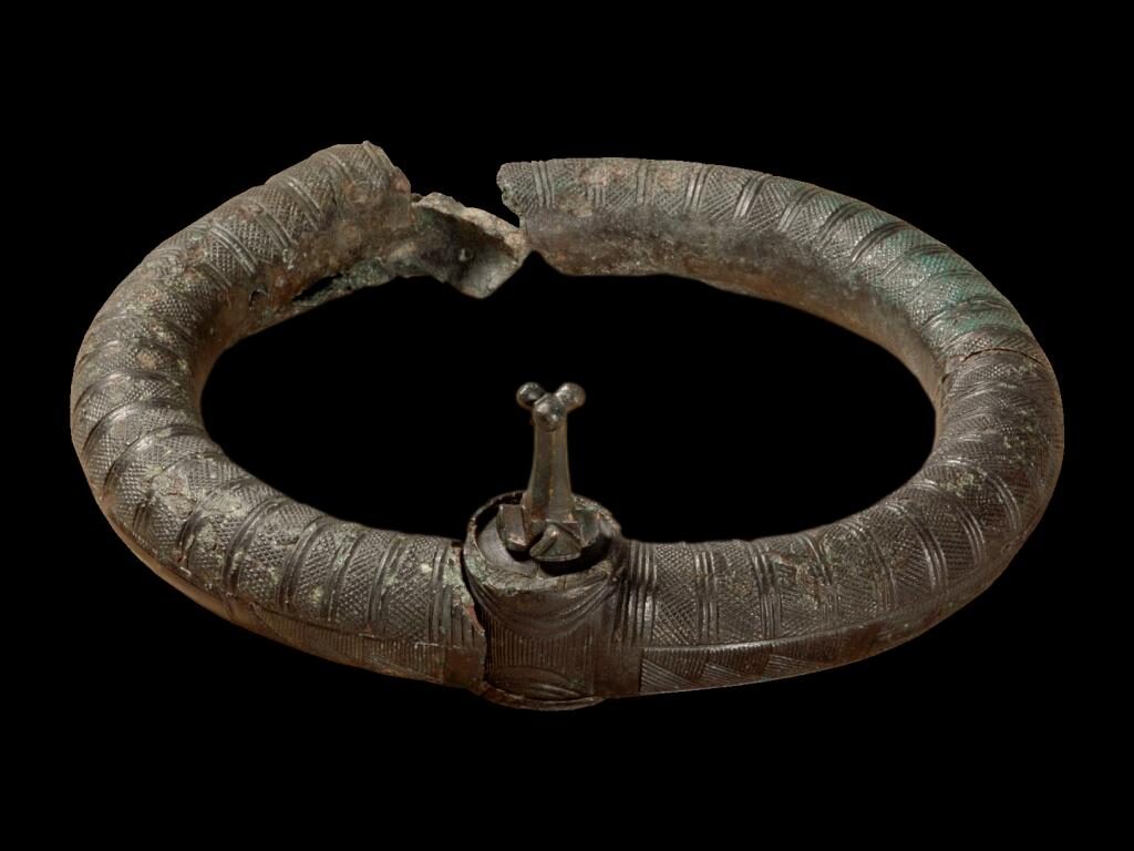 „Halsringe erkennen – bestimmen – beschreiben“