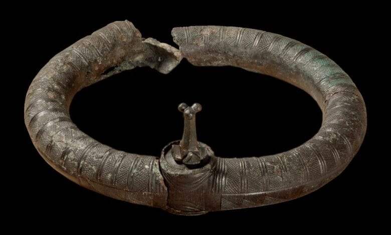 „Halsringe erkennen – bestimmen – beschreiben“ 10 „Halsringe erkennen – bestimmen – beschreiben“