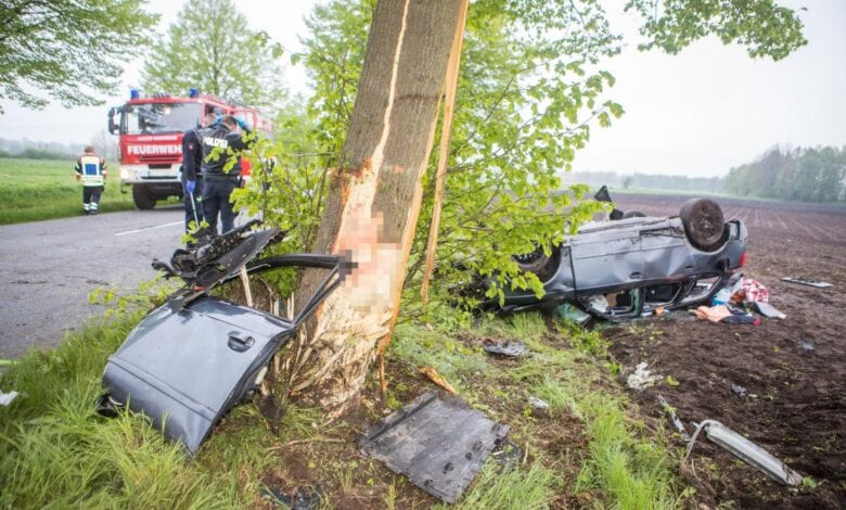 Vater stirbt nach Kollision mit einem Baum