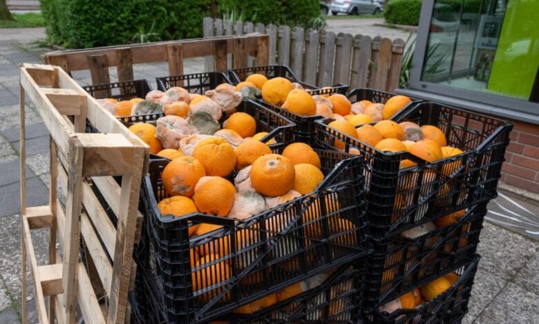 Mehrere Tonnen Orangen illegal auf Fußgängerwegen entsorgt