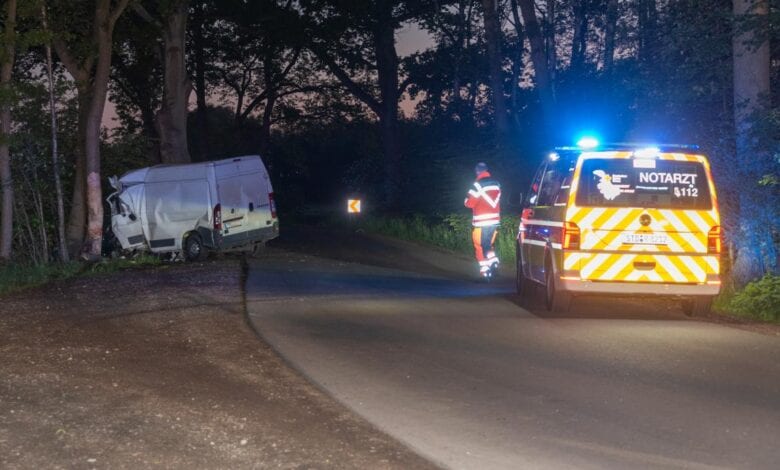 Transporterfahrer stirbt bei Kollision mit Baum